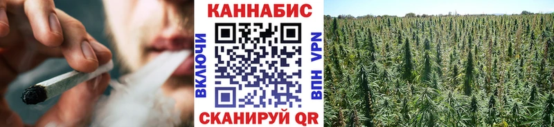 как найти Томмот Бошки Шишки Bruce Banner